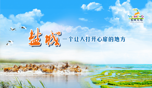 undefined 图片